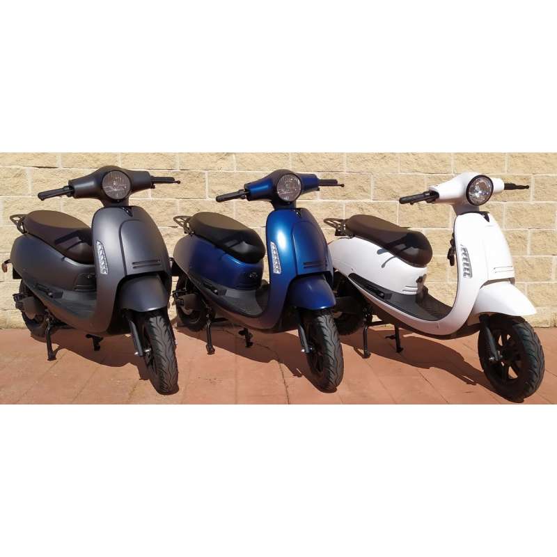 Batterie amovible 60V20Ah ou 60V30Ah pour Scooter électrique Lycke Simply