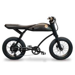 Vélo électrique vintage - Rayvolt Ringo