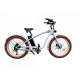 Vélo électrique Gorille Mâle
