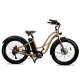 Vélo électrique Lady Gorille