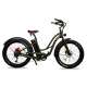 Vélo électrique Lady Gorille