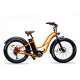 Vélo électrique Lady Gorille
