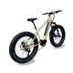 Vélo électrique Gorille Athlète VTT